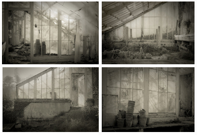 Best Portfolio - Rachel Warne