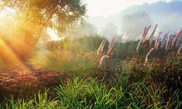 2010 International Garden Photographer of the Year -
Marianne Majerus 2010 International Garden Photographer of the Year - Marianne
Majerus