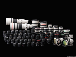 Beginner's Guide to Lenses