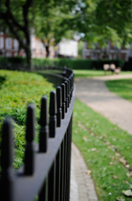 Depth of field, aperture of f2.8 Depth of field, aperture of f2.8