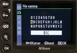 File naming