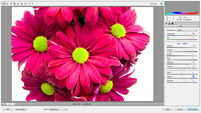 Adobe camera raw interface Adobe camera raw interface