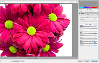 Raw vs JPEG: The pros and cons of Raw files or Jpeg files