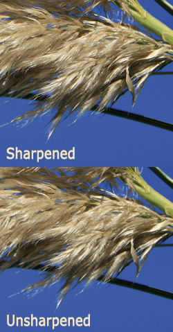 Sharpened vs unsharpened
