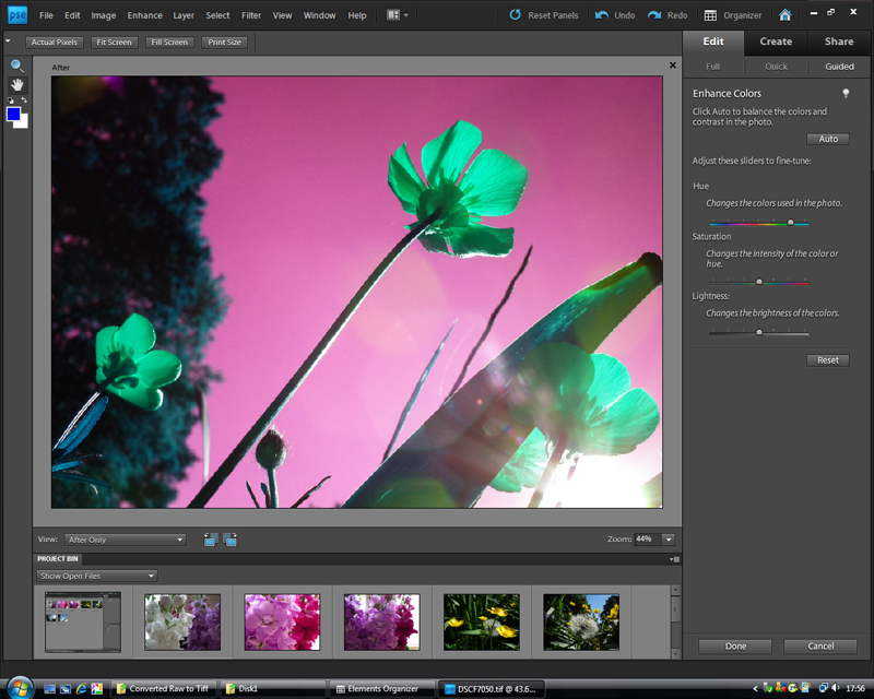 Adobe Elements 9 3 | News | What Digital Camera Adobe Elements 9 3 | News | What Digital Camera