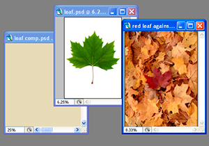 clippingmasks01 clippingmasks01