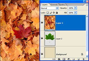clippingmasks04 clippingmasks04