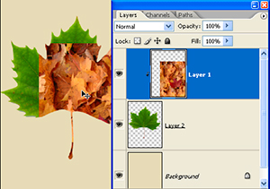 clippingmasks06 clippingmasks06