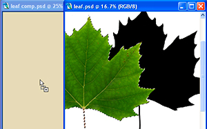 clippingpaths03