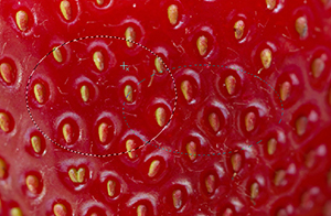 intersect-with-selection.jpg intersect-with-selection.jpg