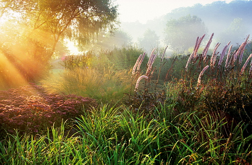International Garden Photographer of the Year 2010 Winners