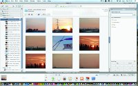 organising software Picasa