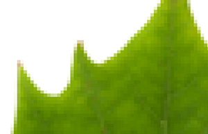 pixels 01 pixels 01