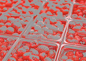 predictcolor03 predictcolor03