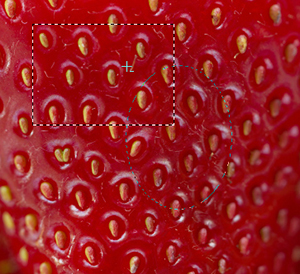 subtract-from-selection.jpg subtract-from-selection.jpg