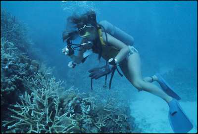 underwater underwater