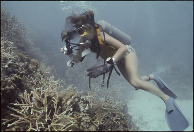 underwater underwater
