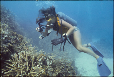 underwater underwater