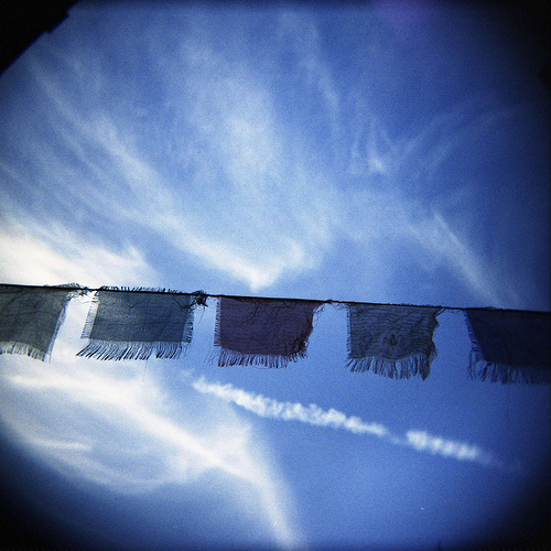 Holga example