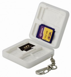 Free Camlink card case