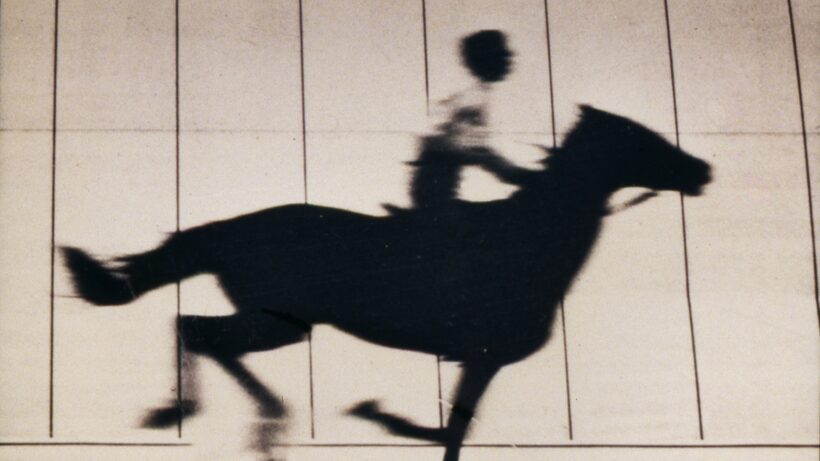 19. Today's gift is 2-4-1 on TATE Britain Muybridge exhibition tickets