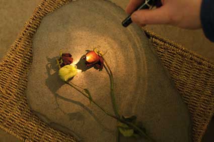 Indoor Home Studio - Craig Roberts Indoor Home Studio - Craig Roberts