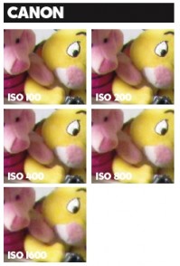 Canon ISO Canon ISO