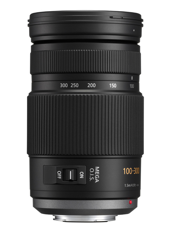 Panasonic Lumix G-Vario 100-300mm f/4-5.6 Mega OIS Review - What