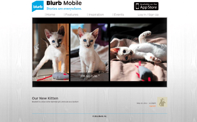BlurbMobile