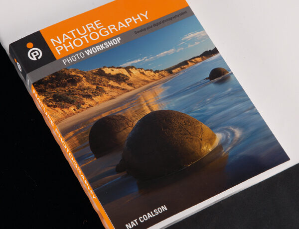 Nature Photography Photo Workshop