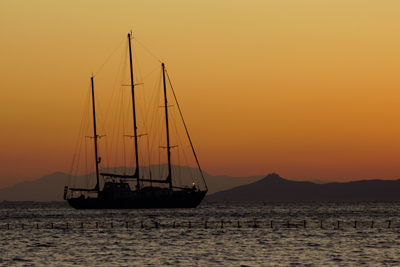 Sony A77 sample