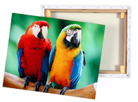 Advent day 8 - get 30% off canvas prints with Canvas4Life