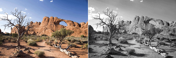 Colour to B&W Landscape