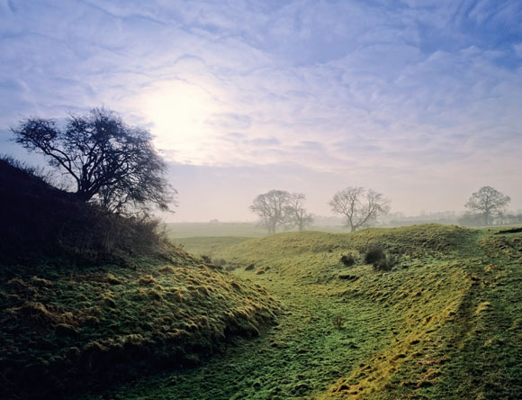 shallow depth of field lanscape