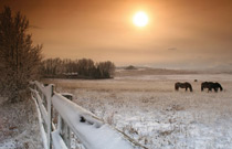 Winter Photography Projects: 53 photography ideas for the winter months