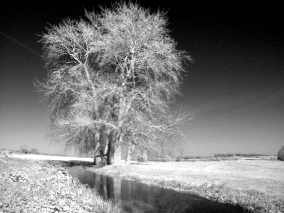 Infrared filter