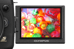 LCD (Liquid Crystal Display)