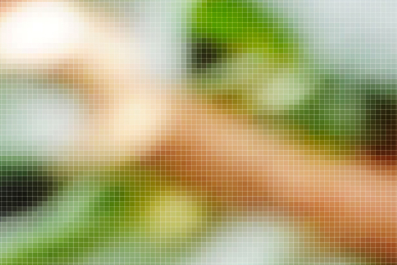 Pixel Pitch