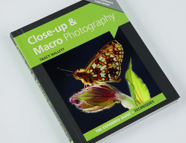 Close-up and Macro photography