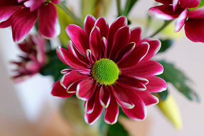 Fujifilm X100S sample image