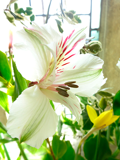 Sony WX300 sample image 5