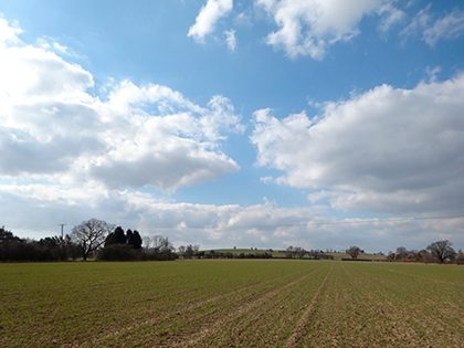 Sony WX300 sample image 4