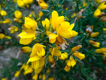 Sony WX300 sample image 3