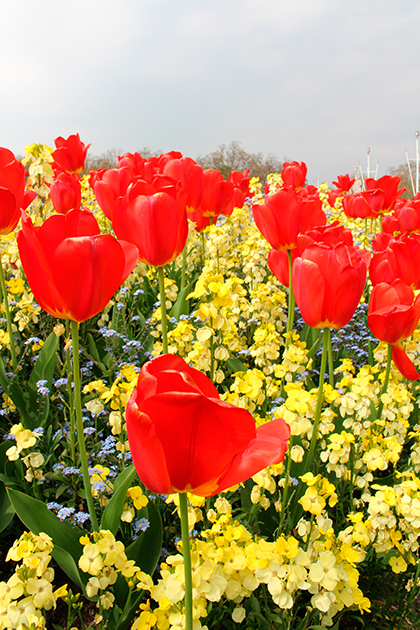 Canon EOS 100D sample image 5