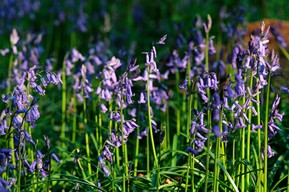 Canon EOS 700D sample image