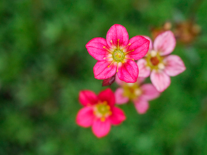 Panasonic Lumix G6 Review - sample image