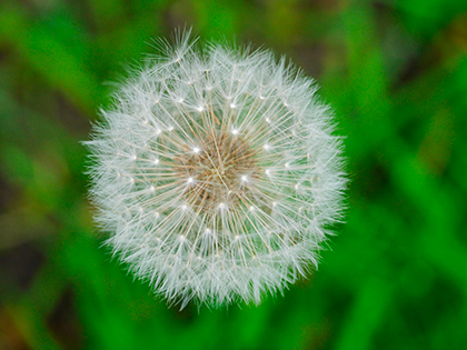 Panasonic Lumix G6 sample image 3