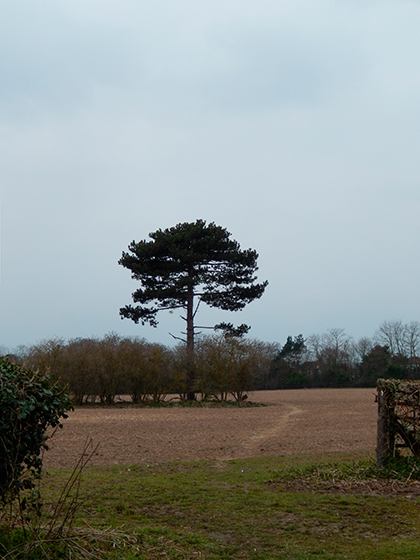 Nikon COOLPIX S9500 Review - sample image 1