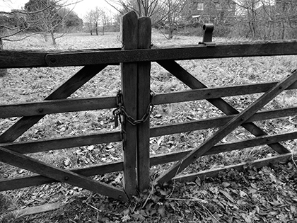 Nikon COOLPIX S9500 Review - sample image