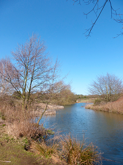Panasonic Lumix TZ35 sample image 1